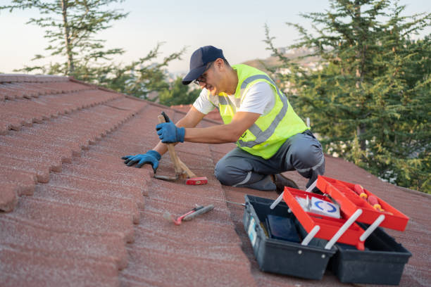 Best Roof Maintenance Services  in Vero Lake Estates, FL