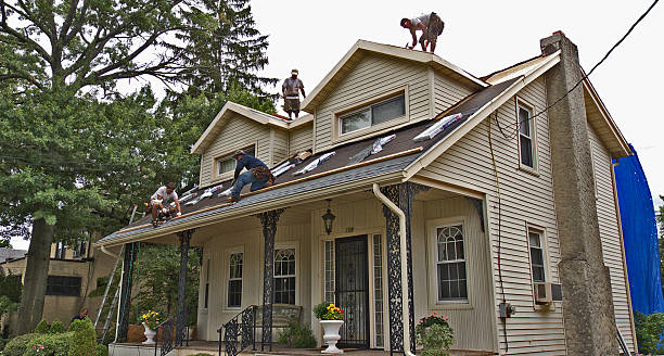Best Residential Roofing Contractor  in Vero Lake Estates, FL