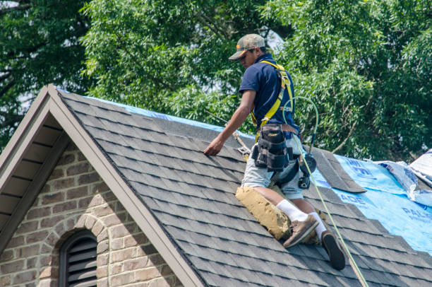 Best Residential Roofing Contractor  in Vero Lake Estates, FL